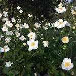 Bed and Breakfast La Collina Dei Conigli