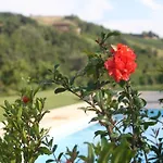 La Collina Dei Conigli Frühstückspension