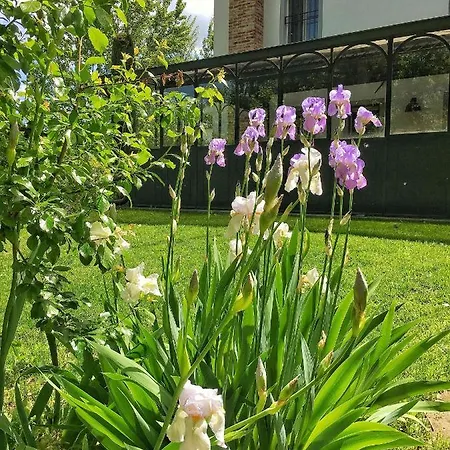 La Collina Dei Conigli 카스텔 보글리오네