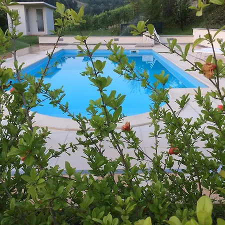 La Collina Dei Conigli