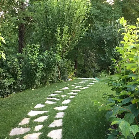 La Collina Dei Conigli *