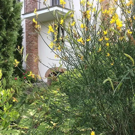 Bed and breakfast La Collina Dei Conigli *