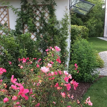 Bed & Breakfast La Collina Dei Conigli