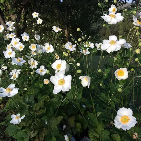 Nocleg ze śniadaniem La Collina Dei Conigli