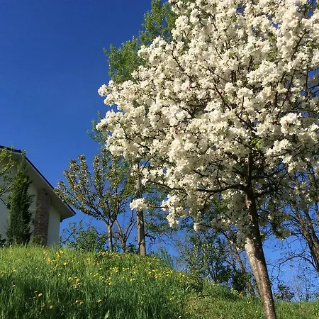 Bed and breakfast La Collina Dei Conigli Castel Boglione