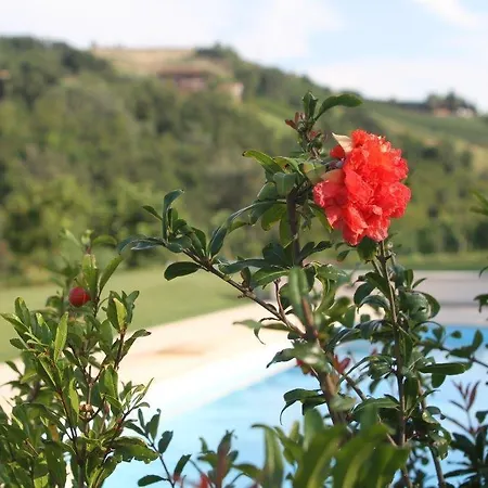 La Collina Dei Conigli Bed and breakfast