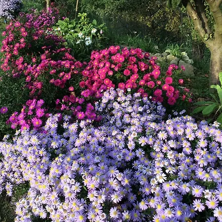 Bed and breakfast La Collina Dei Conigli Castel Boglione