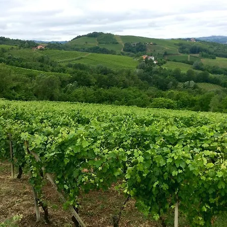 La Collina Dei Conigli Bed and breakfast *