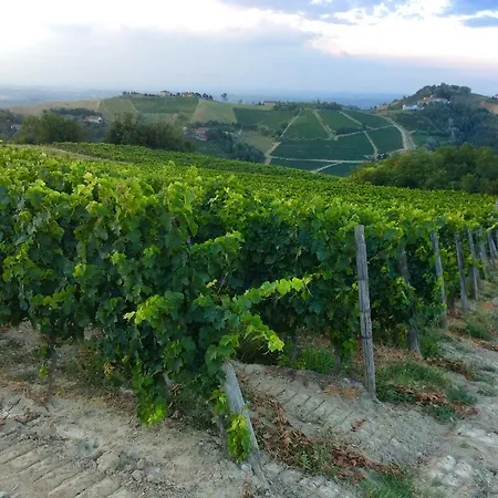 La Collina Dei Conigli