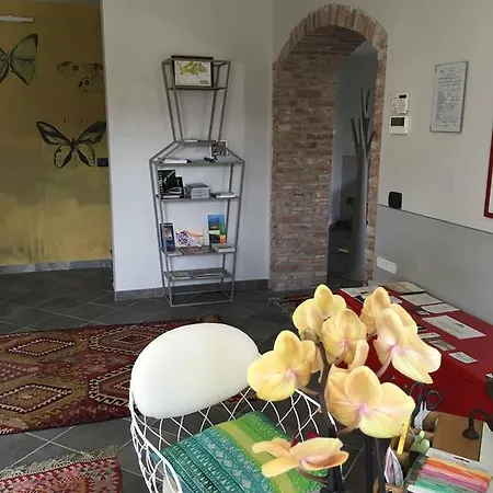 La Collina Dei Conigli *