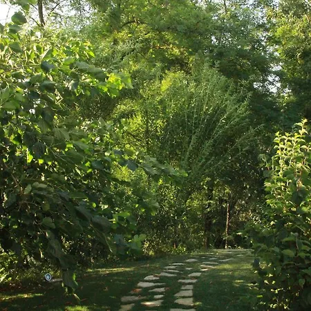 La Collina Dei Conigli * Castel Boglione