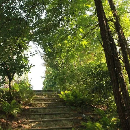 La Collina Dei Conigli Bed and breakfast *