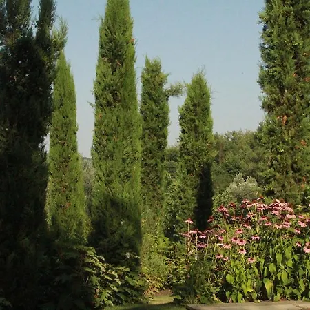 La Collina Dei Conigli *