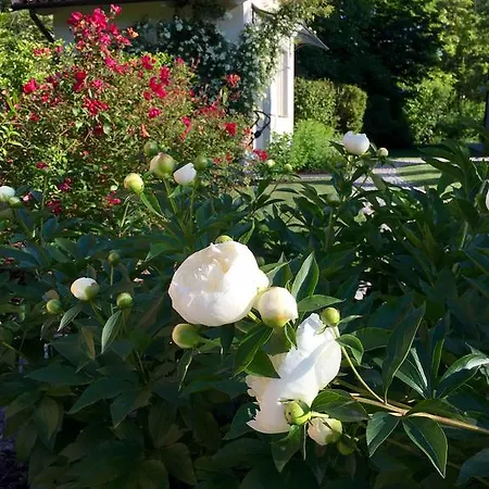 Bed and breakfast La Collina Dei Conigli Castel Boglione