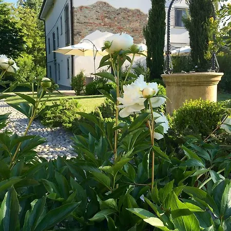 Bed and breakfast La Collina Dei Conigli