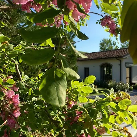 Bed & Breakfast La Collina Dei Conigli