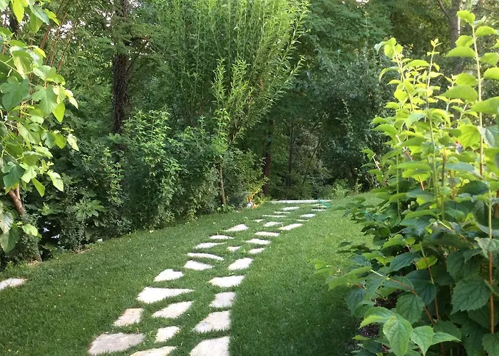 La Collina Dei Conigli *