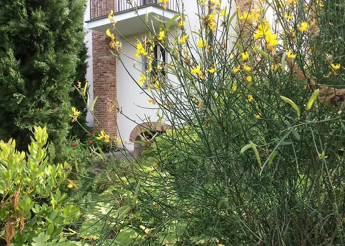 ベッド・アンド・ブレックファスト La Collina Dei Conigli *