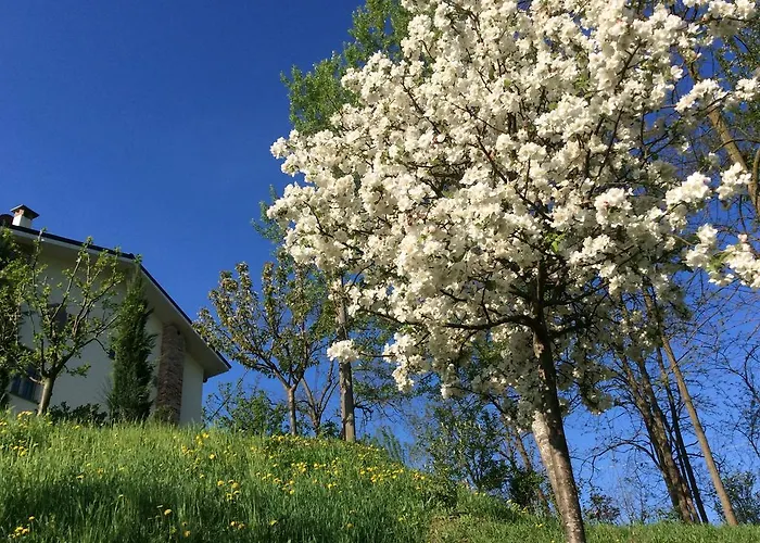 ベッド・アンド・ブレックファスト La Collina Dei Conigli Castel Boglione
