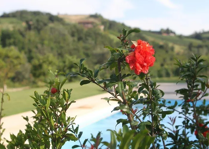La Collina Dei Conigli ベッド・アンド・ブレックファスト