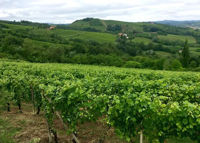 La Collina Dei Conigli ベッド・アンド・ブレックファスト *