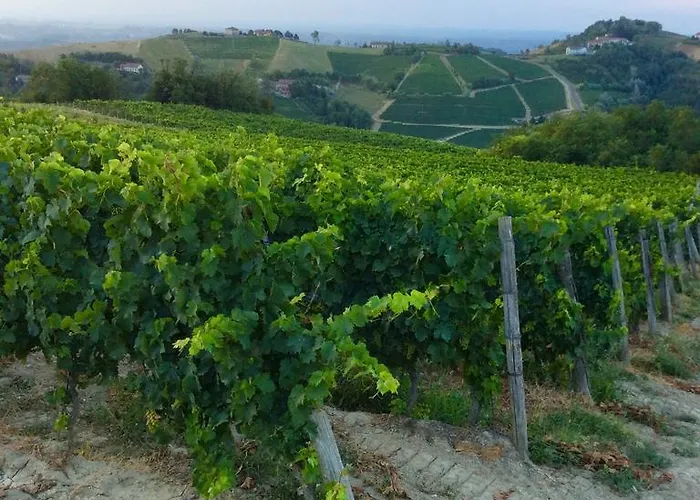 La Collina Dei Conigli