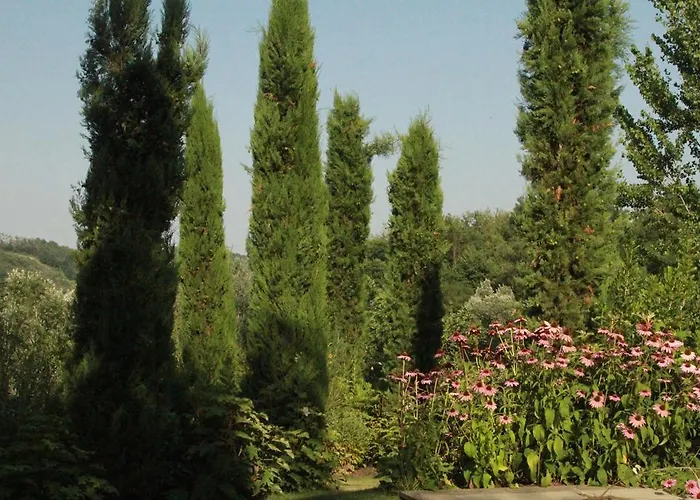 La Collina Dei Conigli *