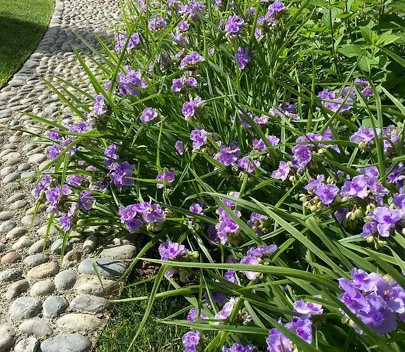 ベッド・アンド・ブレックファスト La Collina Dei Conigli Castel Boglione
