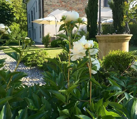 ベッド・アンド・ブレックファスト La Collina Dei Conigli