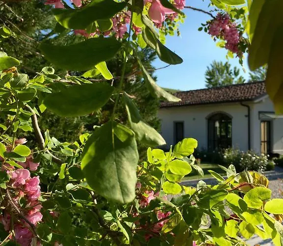 ベッド・アンド・ブレックファスト La Collina Dei Conigli